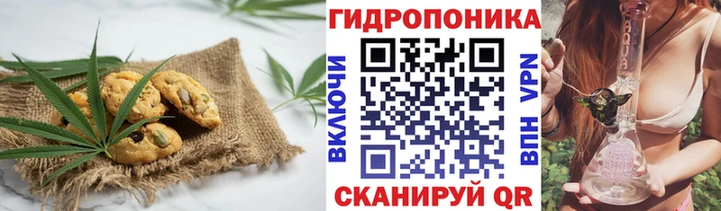 Canna-Cookies марихуана Кирово-Чепецк