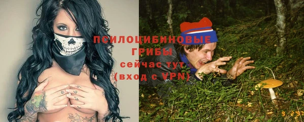 шишки Зерноград