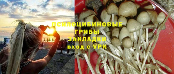 дмт Ельня