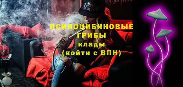 мдпв Зеленодольск