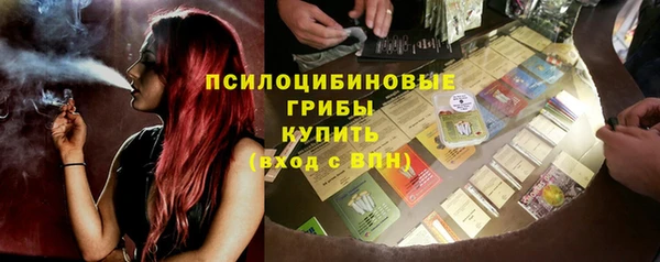 дмт Ельня