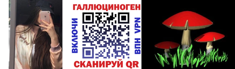 цена наркотик  Кирово-Чепецк  Галлюциногенные грибы MAGIC MUSHROOMS 
